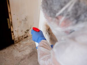 mold remediation